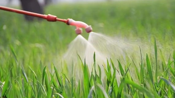 పురుగుమందులు మరియు ఎరువులు